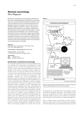 Reverse Vaccinology Rino Rappuoli