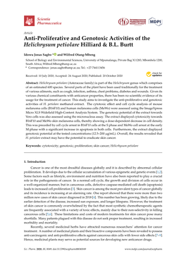 Anti-Proliferative and Genotoxic Activities of the Helichrysum Petiolare Hilliard & B.L