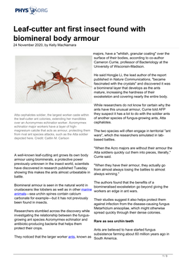 Leaf-Cutter Ant First Insect Found with Biomineral Body Armour 24 November 2020, by Kelly Macnamara