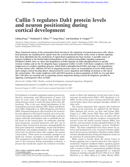 Cullin 5 Regulates Dab1 Protein Levels and Neuron Positioning During Cortical Development