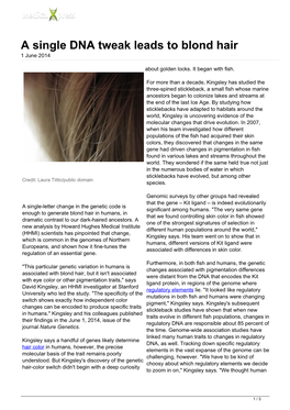 A Single DNA Tweak Leads to Blond Hair 1 June 2014