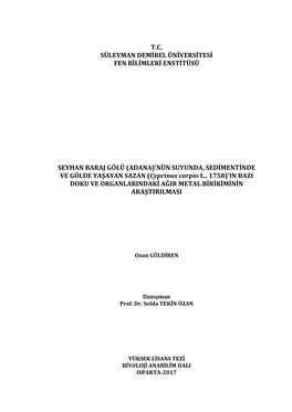 T.C. Süleyman Demirel Üniversitesi Fen Bilimleri Enstitüsü