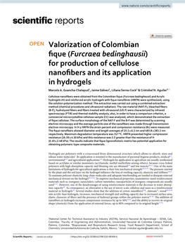 Valorization of Colombian Fique (Furcraea Bedinghausii) For