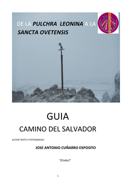 Camino Del Salvador