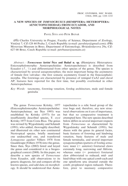 Hemiptera: Heteroptera: Aenictopecheidae) from Ecuador, and Morphological Notes