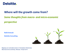 Where Will the Growth Come From? Some Thoughts from Macro- and Micro-Economic Perspective