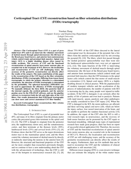 Corticospinal Tract (CST) Reconstruction Based on Fiber