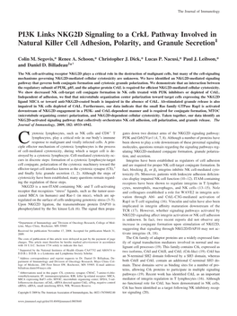 PI3K Links NKG2D Signaling to a Crkl Pathway Involved in Natural Killer Cell Adhesion, Polarity, and Granule Secretion1