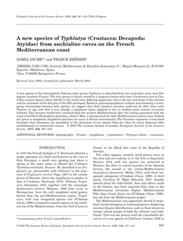 A New Species of Typhlatya (Crustacea: Decapoda: Atyidae) from Anchialine Caves on the French Mediterranean Coast