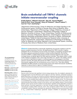 Brain Endothelial Cell TRPA1 Channels Initiate Neurovascular