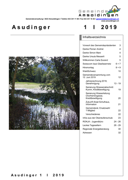 Asudinger 1 L 2019 2