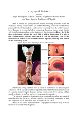 XII IAPO Manual.Indb