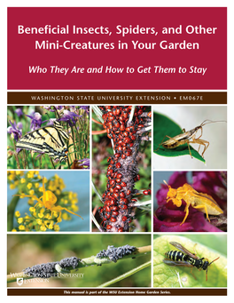 Beneficial Insects, Spiders, and Other Mini-Creatures in Your Garden