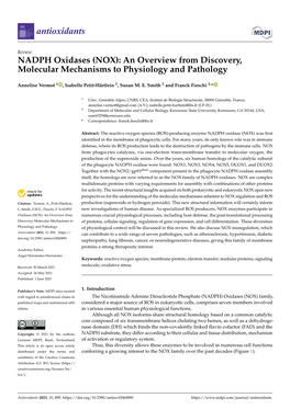 NOX): an Overview from Discovery, Molecular Mechanisms to Physiology and Pathology