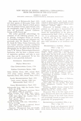 Mollusca, Cephalopoda) from the Eocene of the Gulf Coast James E