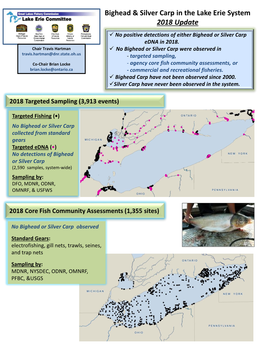 Asian Carp Fact Sheet