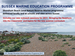 SUSSEX MARINE EDUCATION PROGRAMME Shoreham Beach Local Nature Reserve Marine Programme Delivered Locally and at Schools and Sites Across Sussex