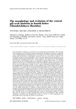 The Morphology and Evolution of the Ventral Gill Arch Skeleton in Batoid Fishes (Chondrichthyes: Batoidea)