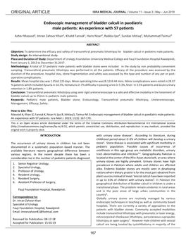 Endoscopic Management of Bladder Calculi in Paediatric Male Patients: an Experience with 57 Patients