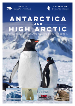 Antarctica High Arctic