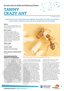 Tawny Crazy Ant Updated: April 2020