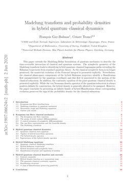 2 Jun 2020 Madelung Transform and Probability Densities in Hybrid