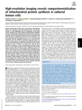 High-Resolution Imaging Reveals Compartmentalization of Mitochondrial Protein Synthesis in Cultured Human Cells