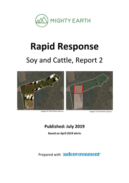 Rapid Response Soy and Cattle, Report 2