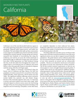 MONARCH NECTAR PLANTS California