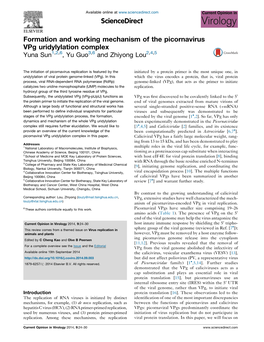 Formation and Working Mechanism of the Picornavirus Vpg Uridylylation