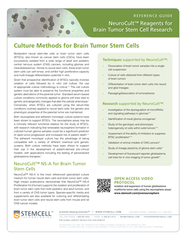 Culture Methods for Brain Tumor Stem Cells