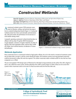 Constructed Wetlands