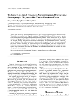 Twelve New Species of Two Genera Smenospongia and Cacospongia (Demospongia: Dictyoceratida: Thorectidae) from Korea