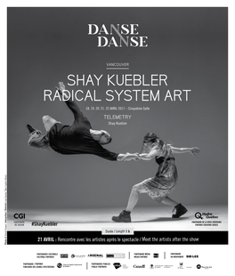 Shay Kuebler Radical System Art 18