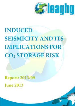 Induced Seismicity and Its Implications for Co2 Storage Risk
