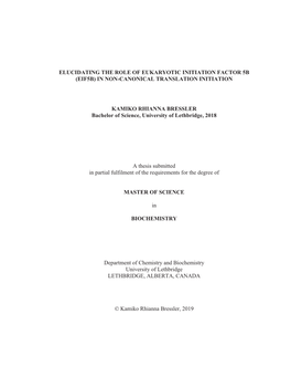 Elucidating the Role of Eukaryotic Initiation Factor 5B (Eif5b) in Non-Canonical Translation Initiation