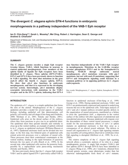 EFN-4 Functions in Morphogenesis 5501