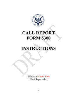 Call Report Form 5300 Instructions