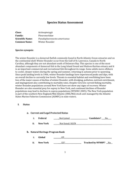 Species Assessment for Winter Flounder