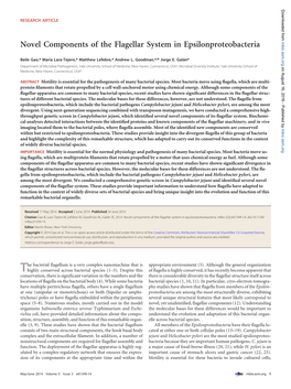 Novel Components of the Flagellar System in Epsilonproteobacteria Mbio.Asm.Org