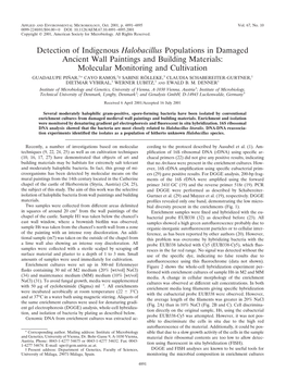 Detection of Indigenous Halobacillus Populations in Damaged Ancient