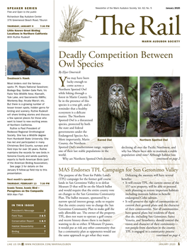 Deadly Competition Between Owl Species