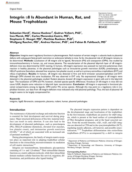 Integrin A8 Is Abundant in Human, Rat, and Mouse Trophoblasts