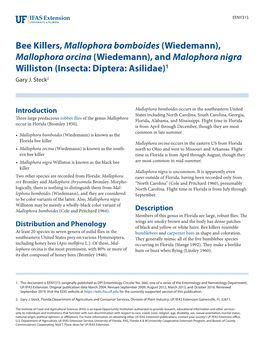 Bee Killers, Mallophora Bomboides (Wiedemann), Mallophora Orcina (Wiedemann), and Malophora Nigra Williston (Insecta: Diptera: Asilidae)1 Gary J