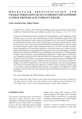 Molecular Identification and Characterization of Synanthedon Tipuliformis Clerck from Black Currant Fields