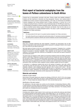 First Report of Bacterial Endophytes from the Leaves of Pellaea