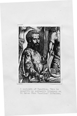 Possibly an Authentic Likeness As It Dates from Vesalius' N