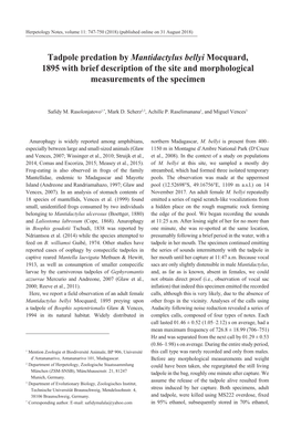 Tadpole Predation by Mantidactylus Bellyi Mocquard, 1895 with Brief Description of the Site and Morphological Measurements of the Specimen