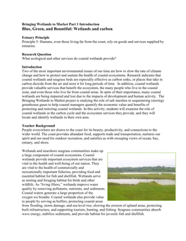 Wetlands and Carbon