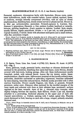 418.—Fig. Erect, Glabrous, Tough, Perennial Herbs